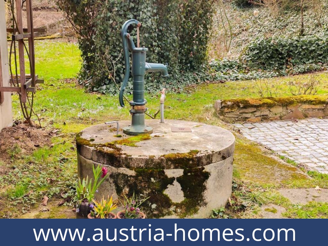 austria-homes-kirchberg an der wild-3811-20250921031746-0025901057.jpg